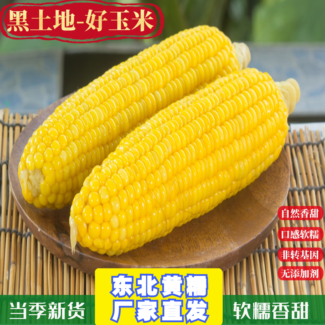 海龙康东北黄糯白糯黑玉米真空包装速食玉米软糯香甜代餐小棒 小黄糯10根 150-180克/根