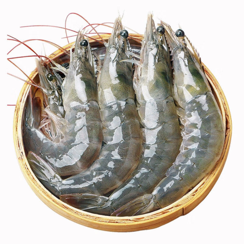 青岛盐冻大虾特大号虾子大虾鲜活批发一箱冷冻新鲜基围虾对虾 整箱4斤【1盒装】 净重3斤18cm-22cm左右