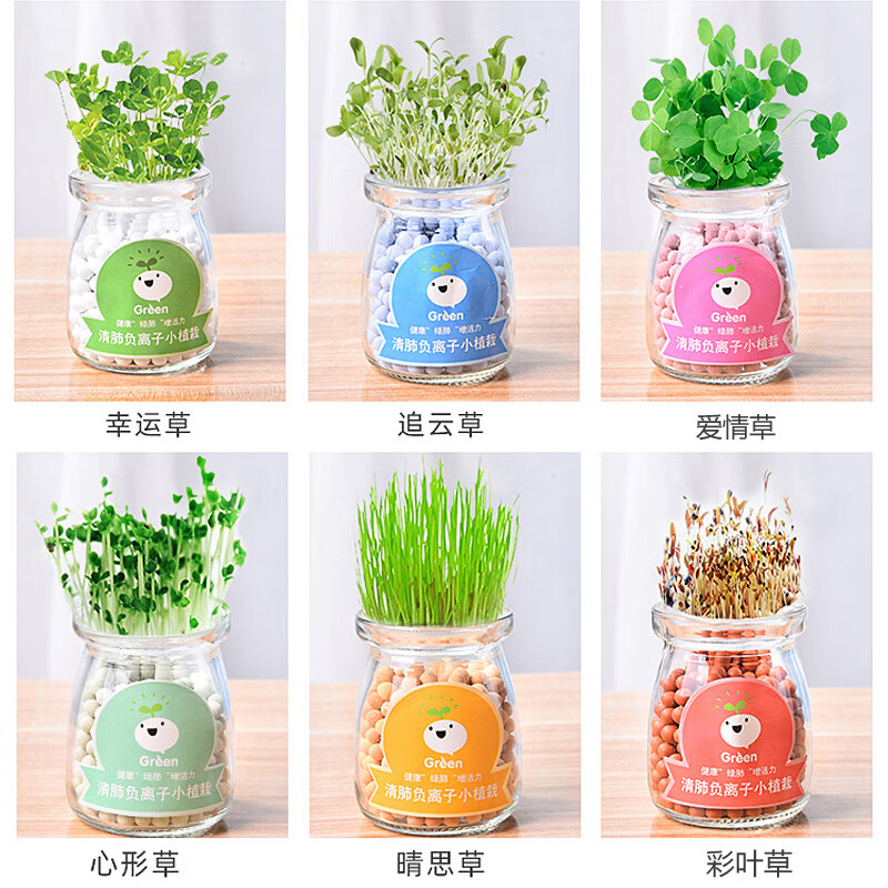 瑞璽兒童迷你花卉水培綠植桌面擺件小盆栽室內(nèi)好養(yǎng)負(fù)離子植物創(chuàng)意 盒裝玻璃瓶盆栽隨機(jī)12瓶