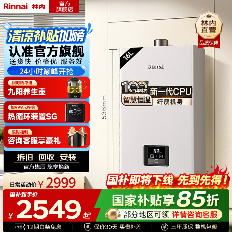 林内(Rinnai)【国家补贴立减15%】【小蛮腰】 燃气热水器天然气16升 恒温轻音 纤巧机身 16GD31 以旧换新 16L 【升级燃烧器 进口CPU】