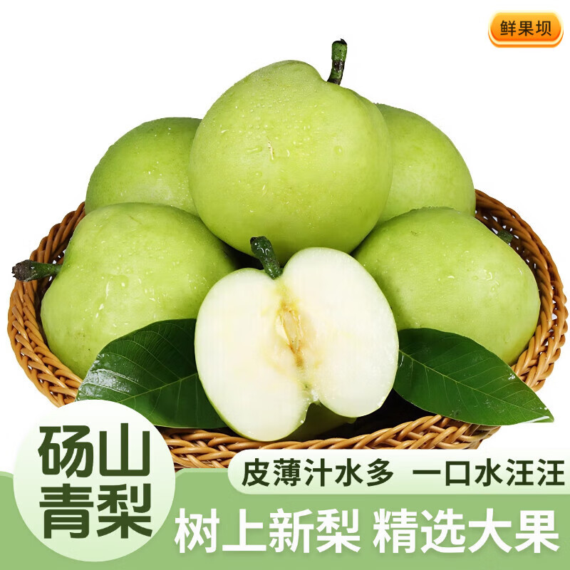 京地达梨砀山青梨翠冠梨净重4.8斤单果250g+新鲜梨子水果源头直发