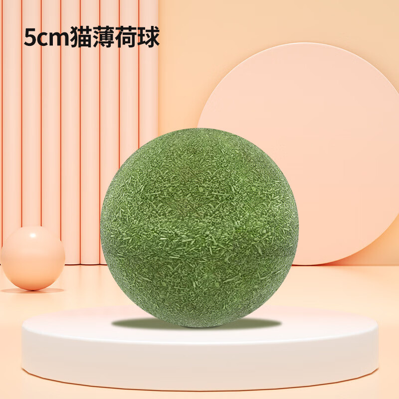 �����зè���� ��ת��ĥ����ݿ���������ҧ����è���ţ�͹�è���� ����è������5CM�� 2����