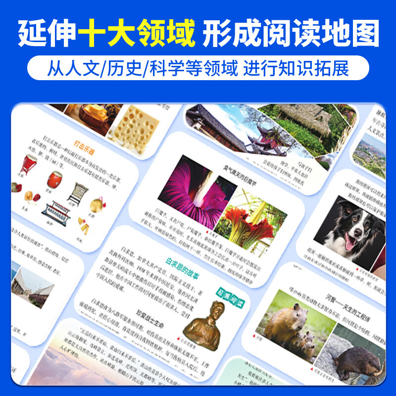 【出版社直发】2026春季新版阳光同学博物课堂三年级上下册 小学生博物课堂语文三年级同步阅读教材辅导书人教版 全国通用课本寻宝语文学习大百科全书 【2册】三年级上册+下册