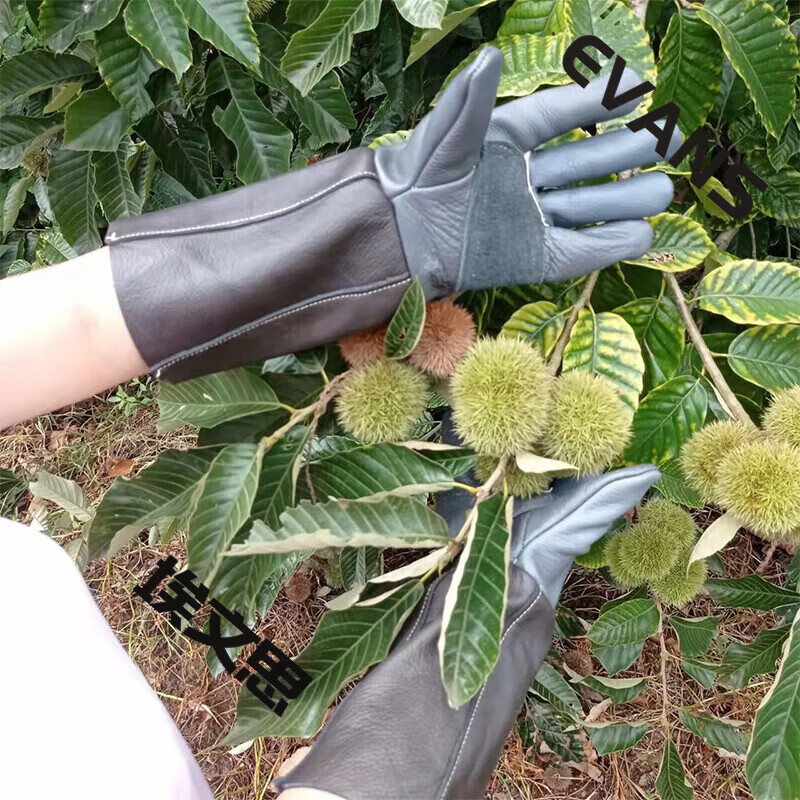 防刺手套摘花椒修剪月季花玫瑰打刺捡板栗子牛皮园林园艺防护防扎 长