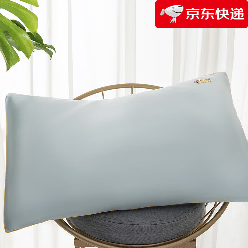 太湖雪兒童蠶絲枕頭枕芯護頸A類標(biāo)準單人小枕頭2-8歲 枕芯+枕套奔跑吧-綠刺繡款40*60c 5cm 4-