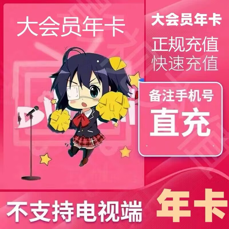 哔哩哔哩会员12个月 bilibili会员B站大VIP会员1年卡 【填写手机号】 bilibili 哔哩哔哩大会员年卡（不支持电视端）