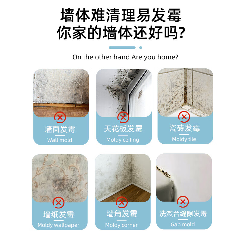 ZYVI【日本】墙体除霉剂白墙清除霉斑霉菌家用无味墙面回南发霉清洁剂 300ml 1瓶 体验装
