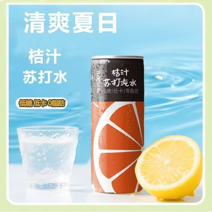 田园约定桔汁苏打汽水 低糖低卡0脂橘子气泡水330ml*6罐饮料整箱装