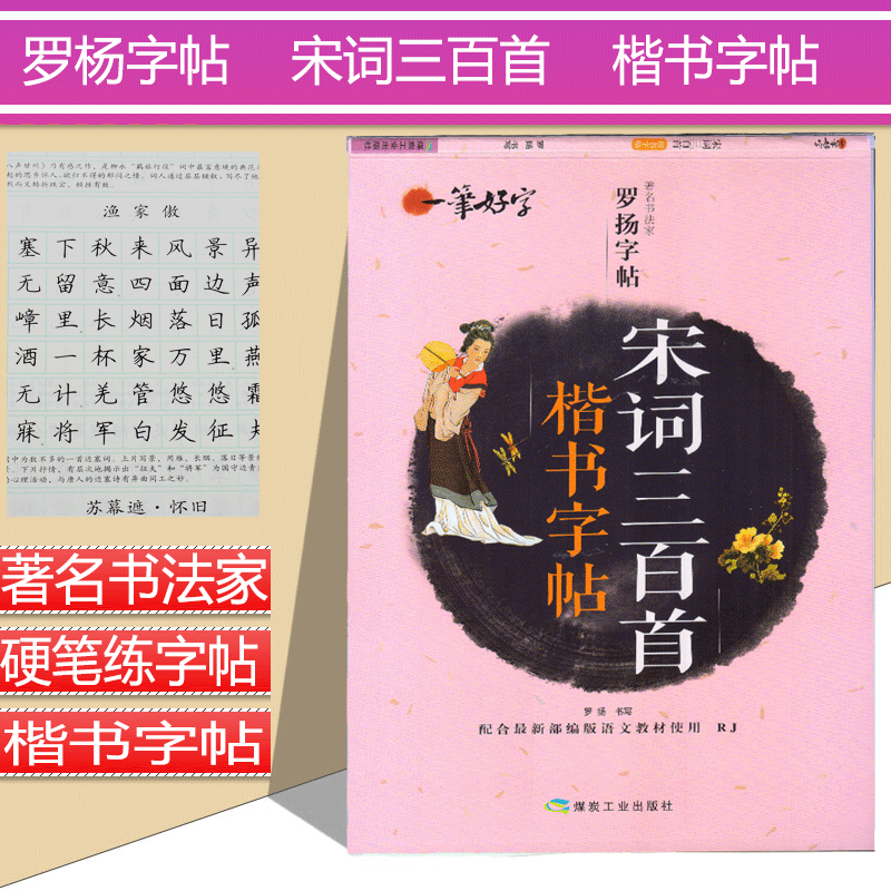 一笔好字 著名书法名家 罗杨字帖 宋词三百首 楷书字帖 新编语文教材 硬笔练字帖 书法练习