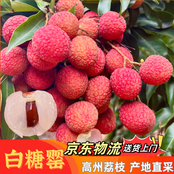 ����ʿ��֦�����䶳�������֦�ֻ��и�Ӧ��ˮ�� 4���ѡ���� 88.7Ԫ