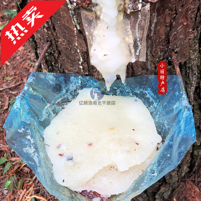 西广西深山松树脂油新鲜采割松油纯天然高级松香松节油原料多省 新鲜