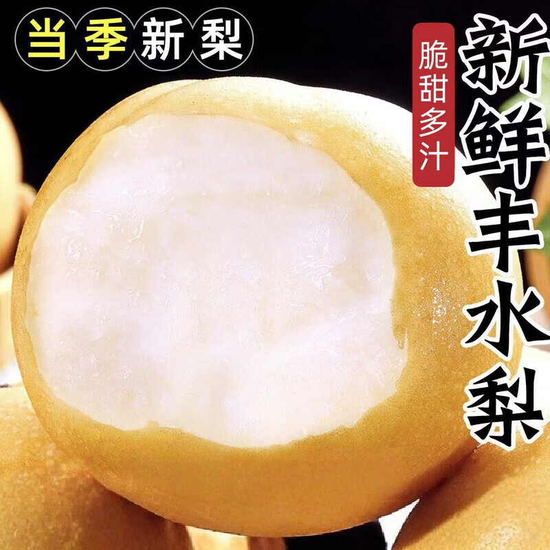 河北特产圆黄梨冰糖雪梨子 丰水梨新鲜水果当季脆甜助农 3斤大果