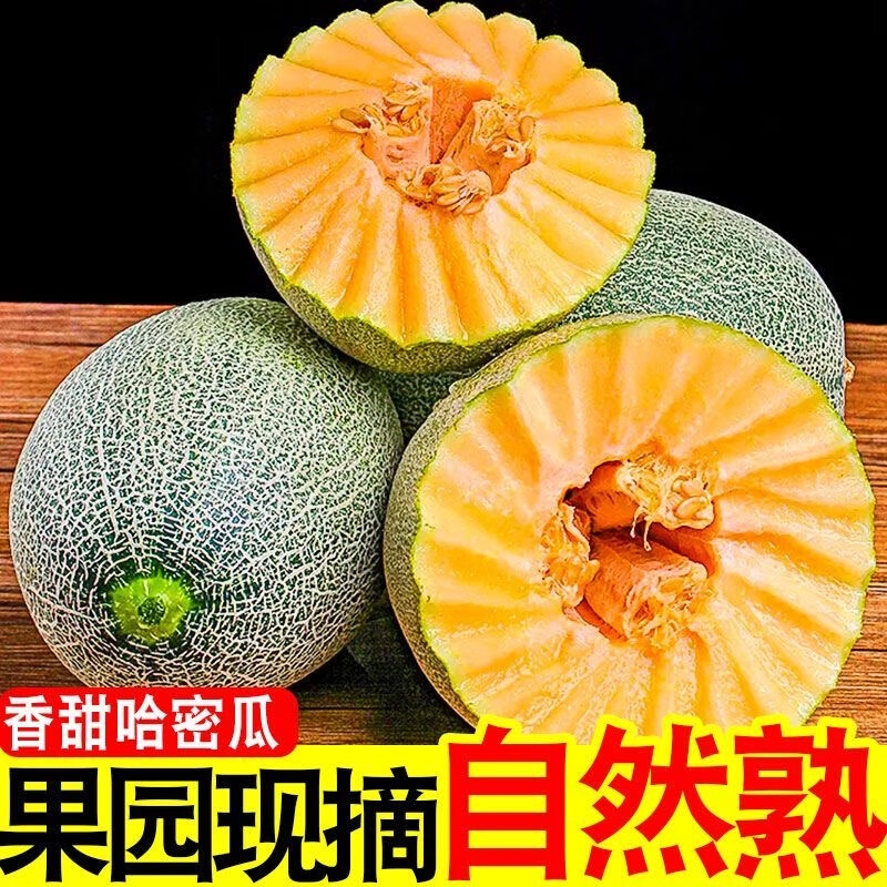 果迎鲜哈蜜瓜甜瓜新鲜水果香瓜生鲜脆甜 净果4.5斤装