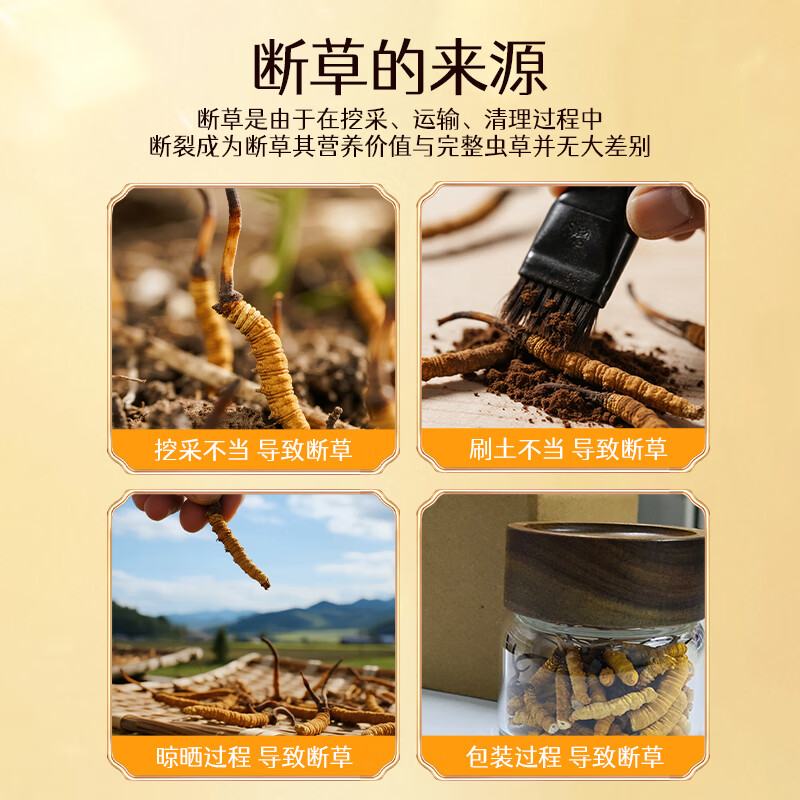 万妃洱高品质冬虫夏草断草养生补品营养品礼盒装滋补品家用送父母自用 断草自用3g