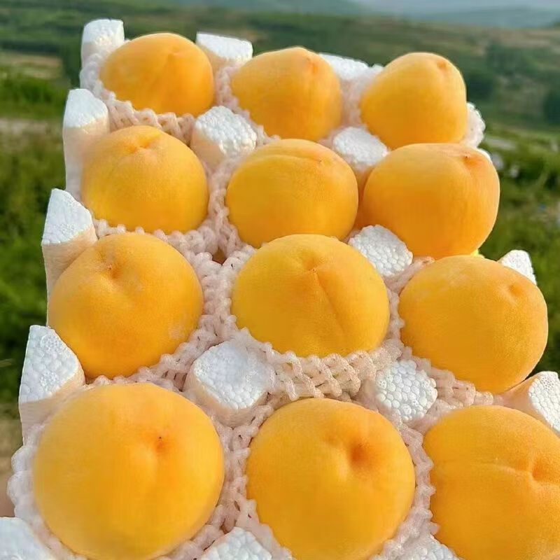 ����˳��ɽ��������ë��ˮ��������2.5��װ����2.25�� ��2���Ϸ�һ�� ������ë��1 ���� 2.25�6-8�� ��*