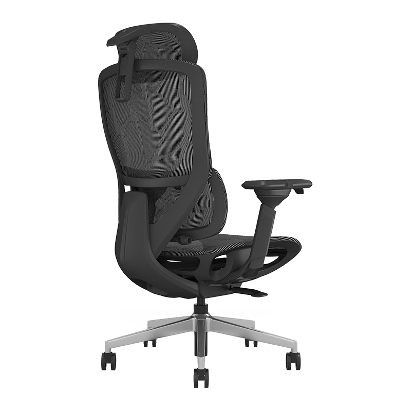 ENOVAʱ�м�pro ���幤ѧ�ε����ΰ칫ѧϰ�����˹���ѧ���ε羺�μ��� 664.8Ԫ