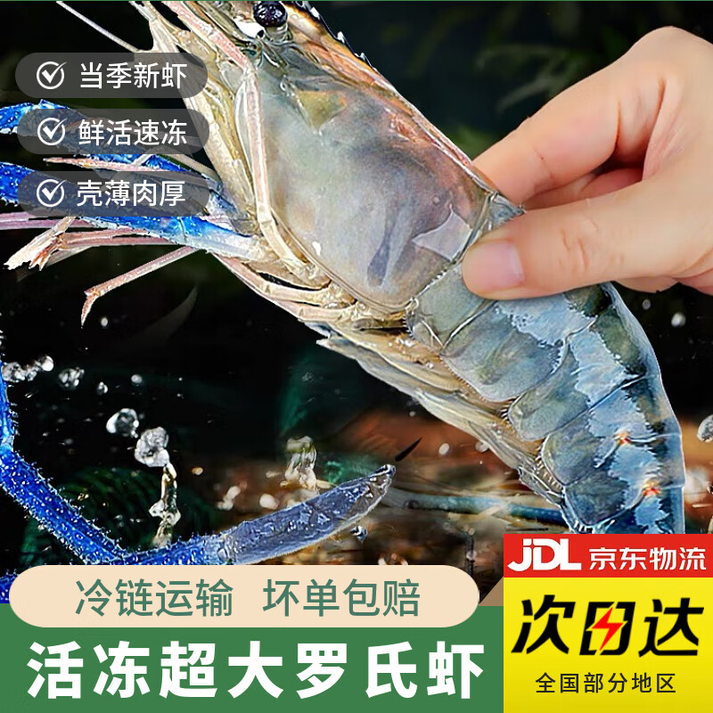 新鲜速冻罗氏沼虾超大号罗氏沼虾淡水虾冰鲜速发冻虾新鲜大头虾 大号(10-15只/斤)*3斤