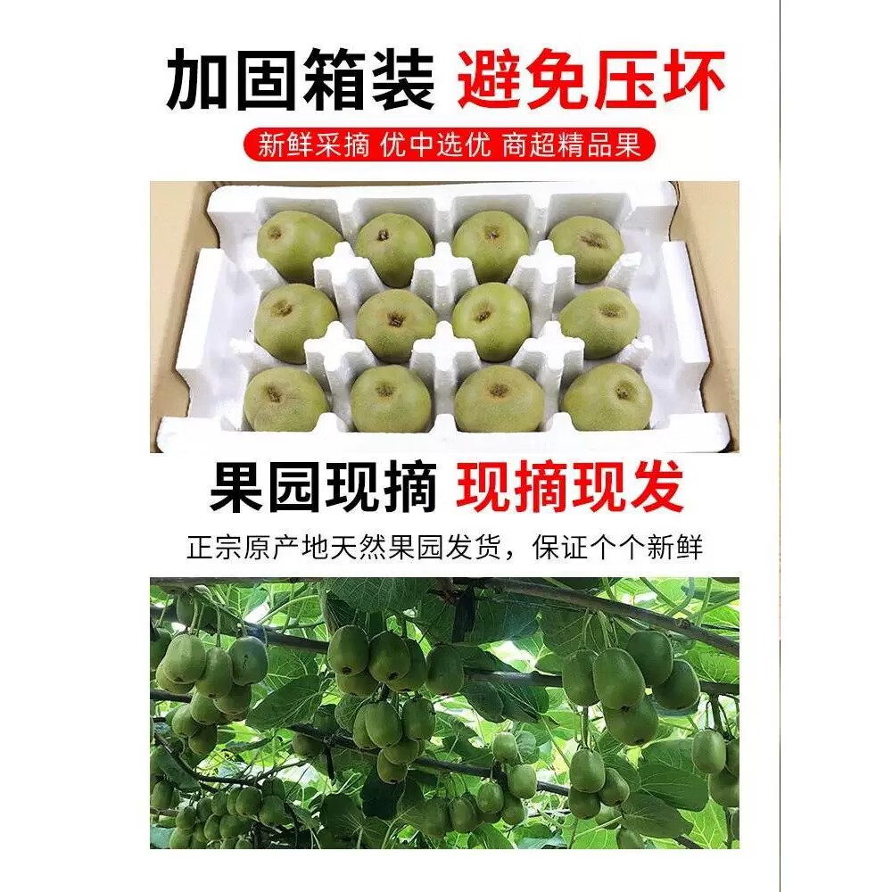 觅凉都贵州六盘水新鲜现摘水果红心猕猴桃爆甜生鲜奇异果整箱礼盒批发 15枚装 单果70g-90g(中果) 京东折扣/优惠券