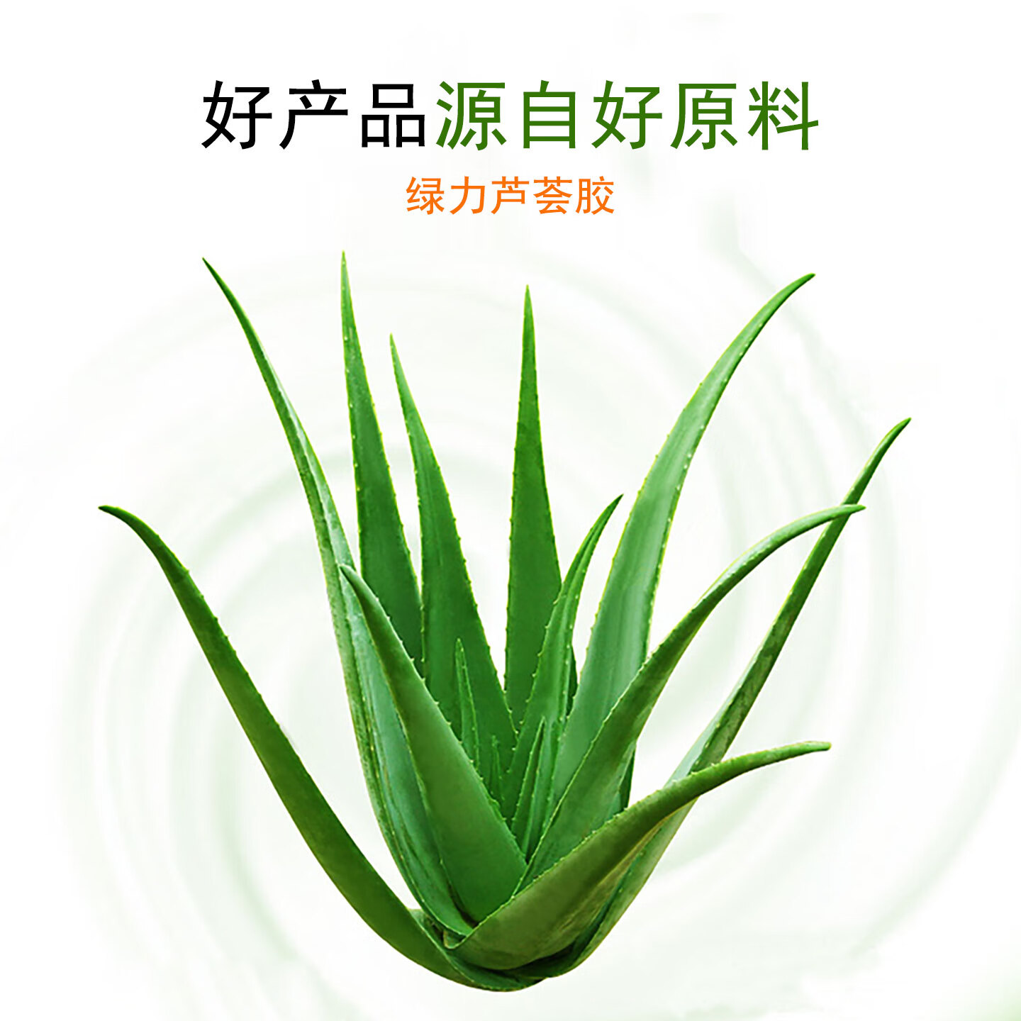 绿力 芦荟胶 日晒后男女面部肌肤补水保湿润肤护理 大容量清爽 50g芦荟胶1盒(买一送一)