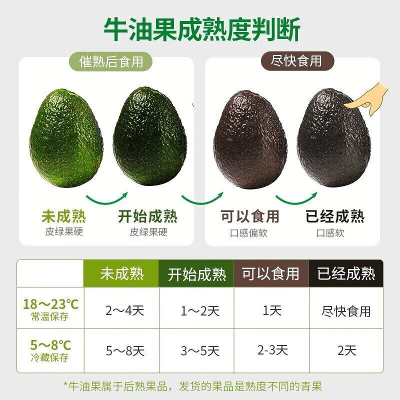 鲁禧海岸哈斯牛油果 新鲜水果 孕婴宝宝健康辅食 健身达人水果 鳄梨 4枚装 精品中果100g-130g【性价比高】
