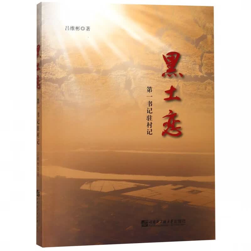 黑土恋 DY书记驻村记
