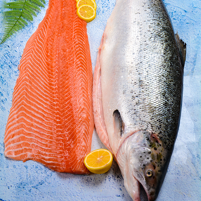 渔哥戏鱼【冰鲜】挪威三文鱼整条(非冷冻)(大西洋鲑鱼)10-14斤礼盒装