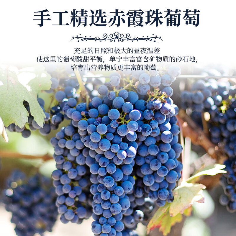 帝月红酒星辉13.5度750ml干红赤霞珠贺兰山东麓礼盒家宴年货过节送礼 星辉 750ml*2瓶