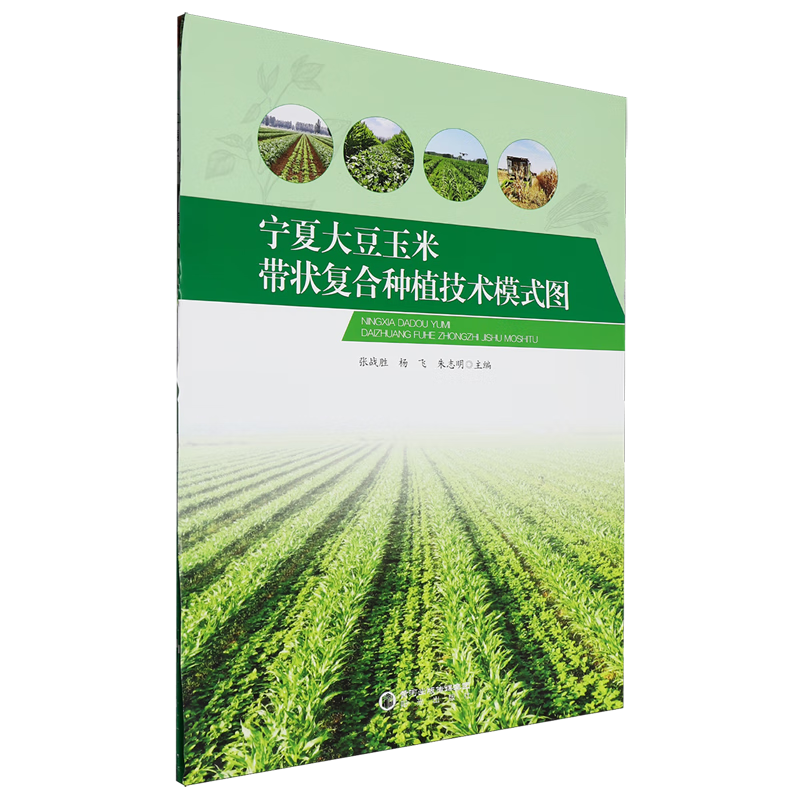 新华正版 宁夏大豆玉米带状复合种植技术模式图 农作物
