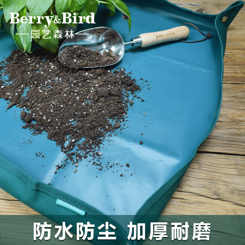 Berry&Bird԰��ɭ�ּ����ֻ������ص��ˮ����������ֲ������̨�����������