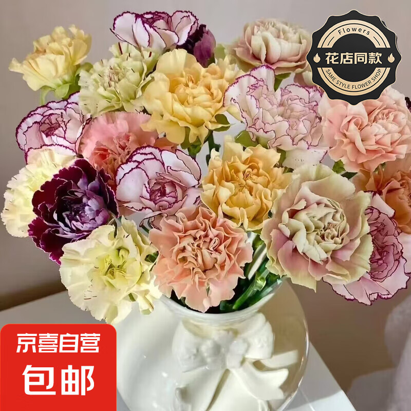 【康乃馨】花店同款鲜花云南基地直发七夕节礼物送妈妈鲜切花3 随机颜色10支