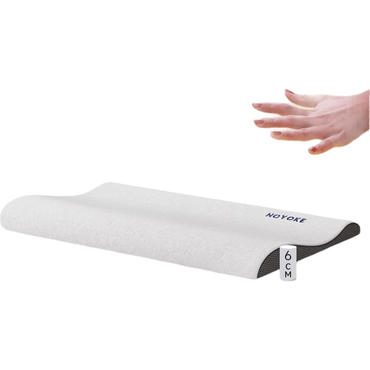 ���ڲ�����ŵ������noyoke�� ��׵��ͷ��������ר�ó�����˯�߼�����ͷ�������Ƶ� ��ֻ -������Ⱥר��-��3cm������ ���� -һֻװ 547.5Ԫ��5��(��109.5Ԫ/��)