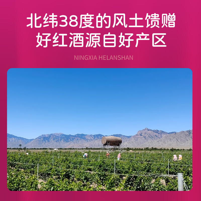 帝月浅醺半甜红宁夏赤霞珠干红葡萄酒低度微醺红酒高档自饮宴请送礼 【2瓶装】浅醺半甜红500ml*2
