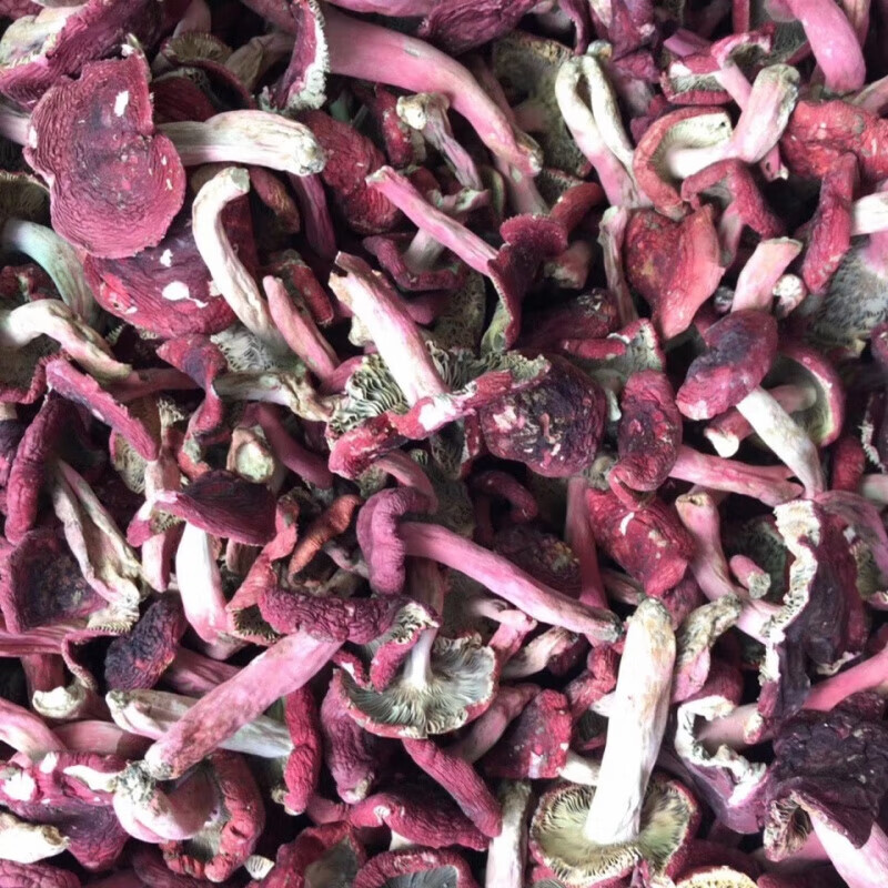 广西藤县红菇红蘑菇大红菇干货250g煲汤家用当季 250克