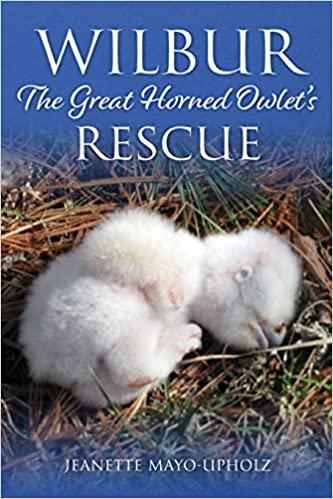 预订 wilbur: the great horned owlets rescue