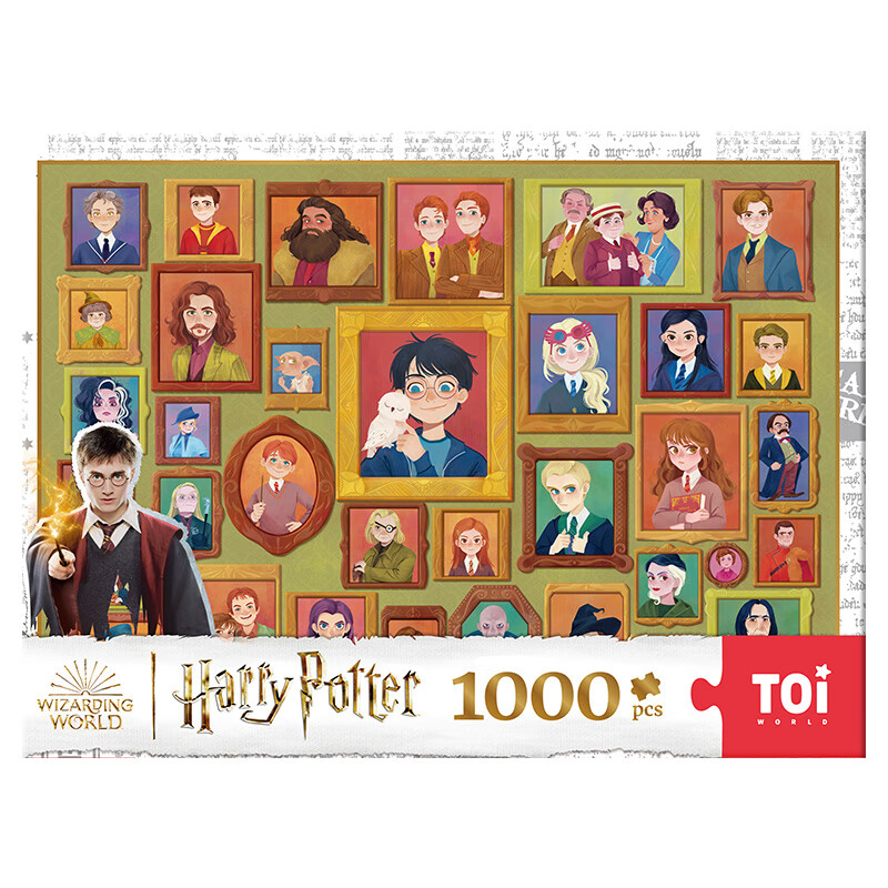 TOI图益潮玩哈利波特拼图1000片成年人减压高难度玩具生日礼物  Harry Potter照片墙系列