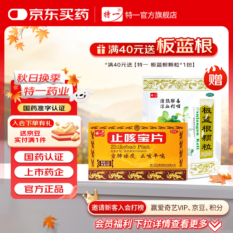 特一止咳宝片 24片装 宣肺祛痰止咳化痰清肺平喘 咳嗽药 感冒咳嗽 含姜咳喘片 慢性支气管炎上呼吸道感染