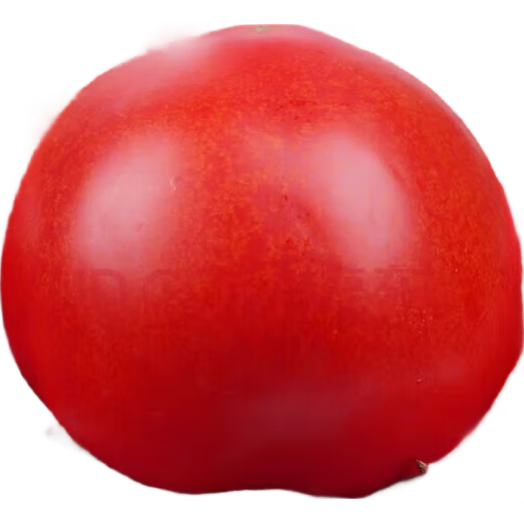 ���ڲ��������ڸ�ɽɳȿ������¶�����Է۹��������ʲ�ժ��������˹������ ���ء��̳�Ʒ��150��+�� 5�� �������� ɽ�� 22.9Ԫ