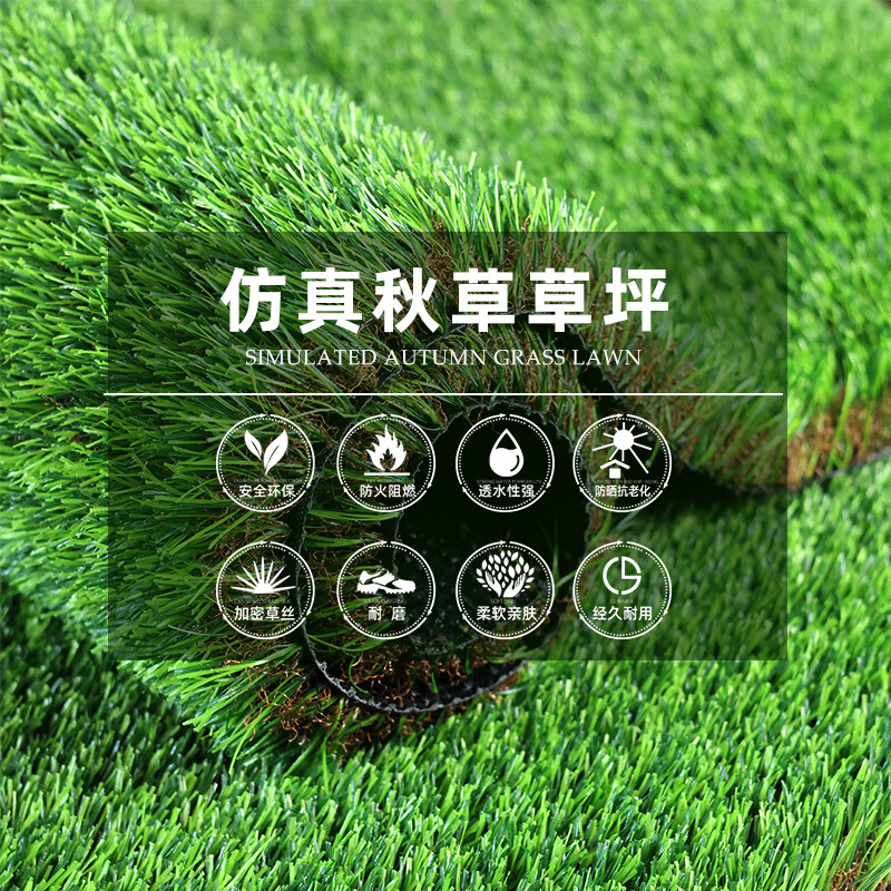 0厘米高端出口品质秋草5平方