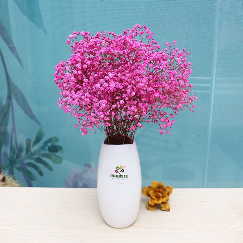 怎么查干花商品的历史价格|干花价格历史