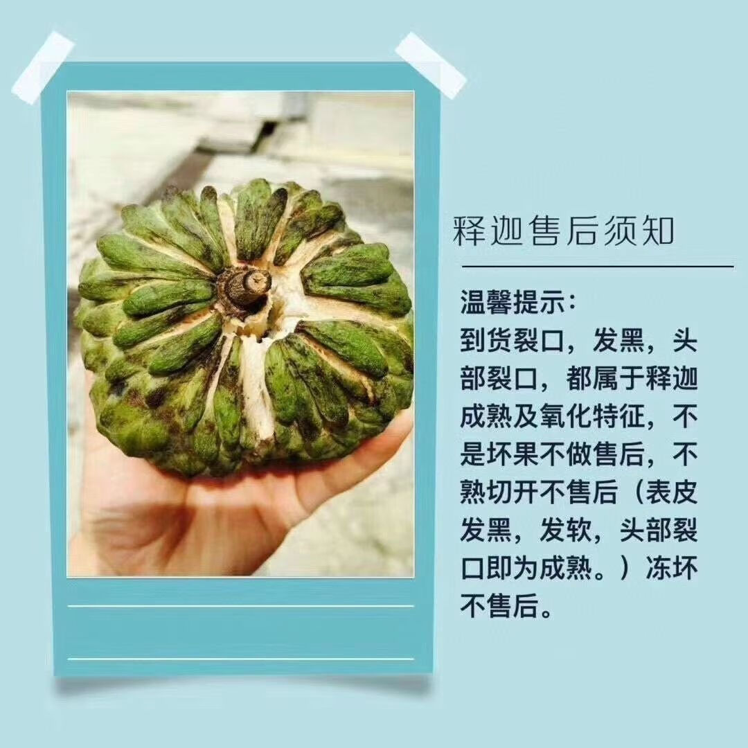 冰糖释迦果佛头果番荔枝 爆甜多汁牛奶果凤梨水果生鲜当季 3斤小果(150g+)需催熟
