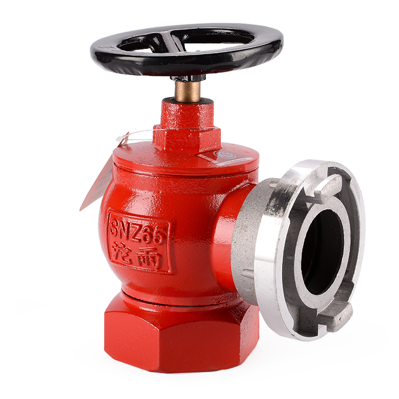 沱雨（TUOYU) 室内旋转消火栓SNZ65型三江消防水带阀门国标3C认证2.5英寸65mm消防栓