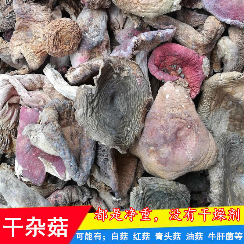 杂菇红菇青头菇白菇牛肝菌干货干菌子野生菌子食材 野生杂菇干货100g