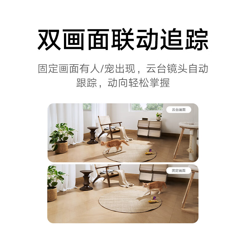 图 6