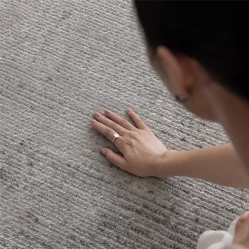 致尚美学新款地毯客厅降噪防猫抓零甲醛好打理北欧奶油风茶几毯卧室床边毯 塞力斯01【高档仿羊毛混纺材质】 2m*2.9m 加厚加密【2.6-3米沙发推荐】