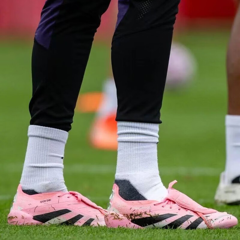 PREDATOR ELITE猎鹰25高端FG长钉翻鞋舌足球鞋男24贝克汉姆天然草 白迷彩 40