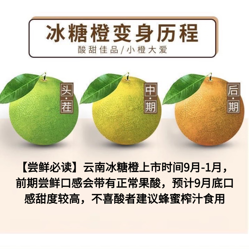 梦宛怡云南冰糖橙正宗哀牢山冰糖橙新鲜橙子水果当季整箱果冻甜橙手剥橙 5斤尝鲜装品质果丨单果60mm+丨净重4.5斤装