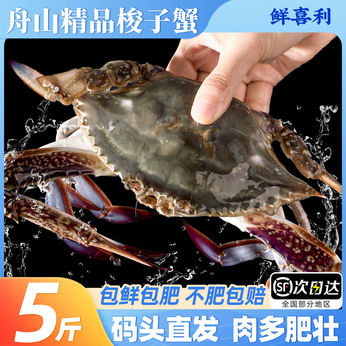 梭子蟹鲜活特大野生舟山大螃蟹海鲜新鲜冷冻海蟹水产飞蟹白蟹顺丰 9两以上/只 【净重5斤大梭子蟹】