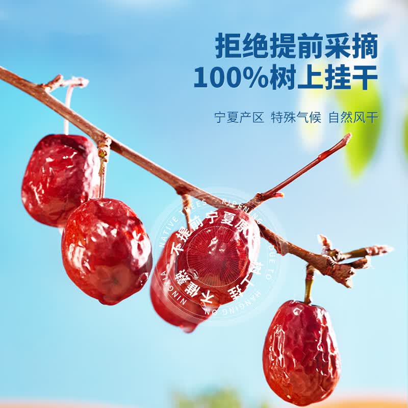 宁安堡新疆红枣 独立小袋包装干净卫生 新疆特产大枣 【宁夏骏枣】 500g*2袋
