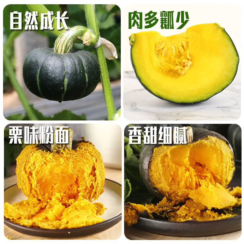 绿熊庄园正宗惠和一号贝贝南瓜板栗味宝宝老人辅食软糯香甜新鲜营养丰富餐 精品尝鲜装 【单果150-250g】净重 3斤