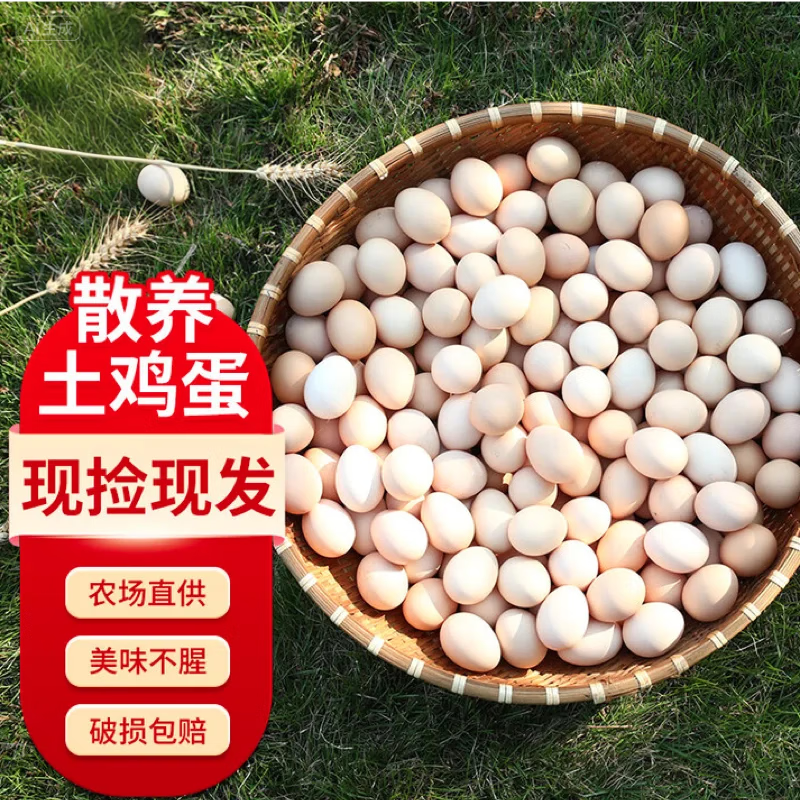 ���׹�����ζ�� ����ɢ�������� 40ö1.6kg 19.9Ԫ(����ȯ�����׹�)